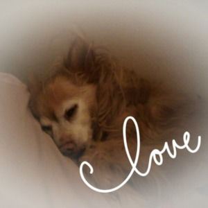 Meet your Posher, Melody